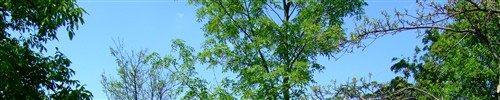 Sm�en� p�veck� sbor Salv�tor